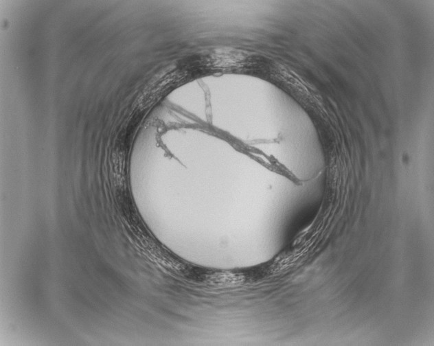 X0000057580421200510171712