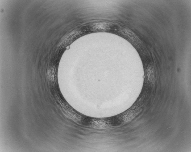 X0000057580423200510171712