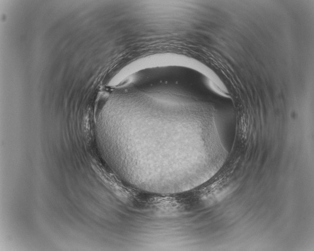 X0000057580424200510171712