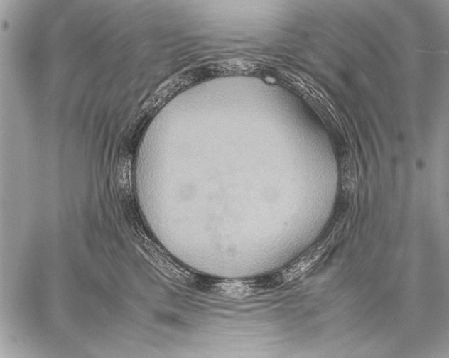 X0000057580425200510171712