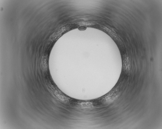 X0000057580426200510171712