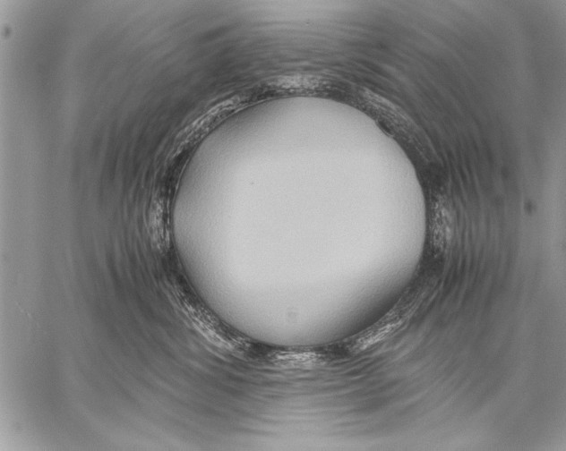 X0000057580428200510171712