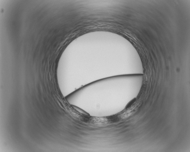 X0000057580429200510171712