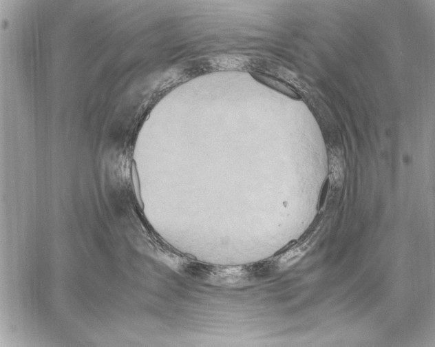 X0000057580431200510171712