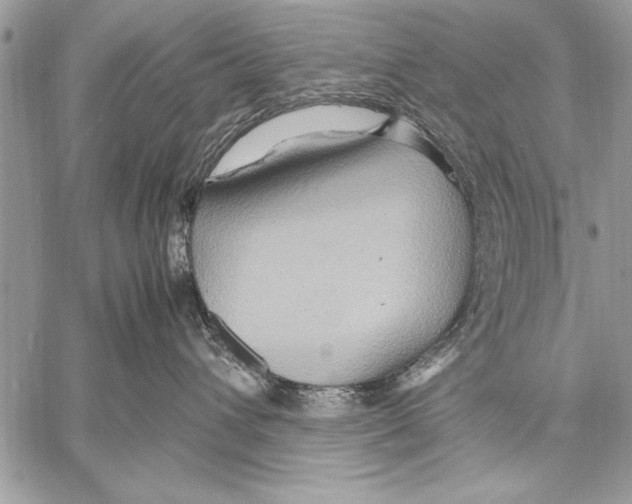 X0000057580432200510171712