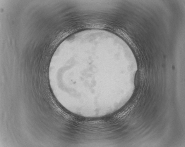 X0000057580433200510171711