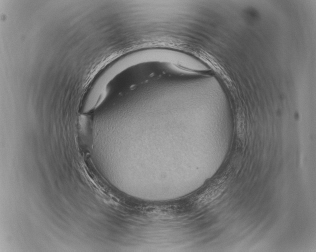 X0000057580434200510171711