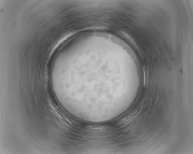 X0000057580435200510171711