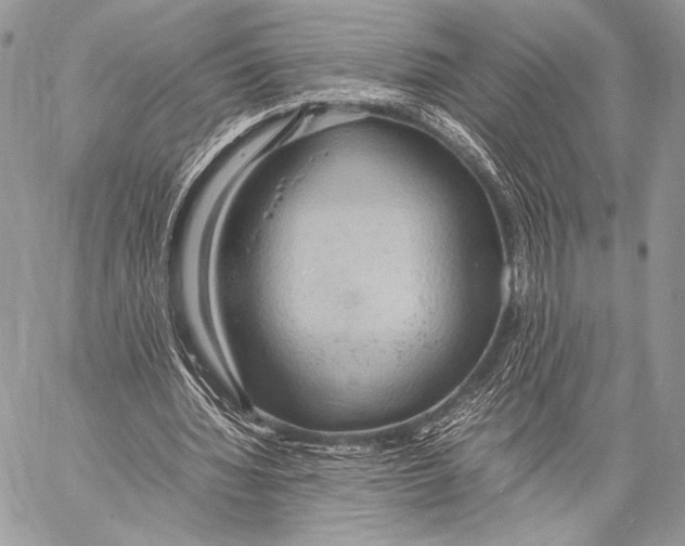 X0000057580436200510171711