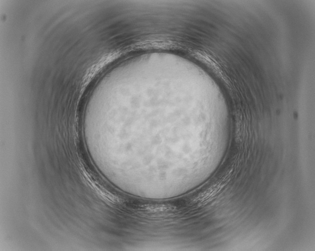 X0000057580439200510171712