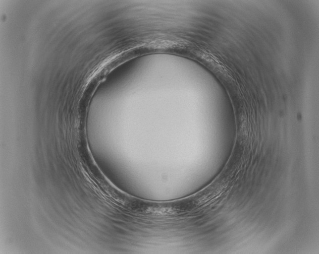 X0000057580440200510171712