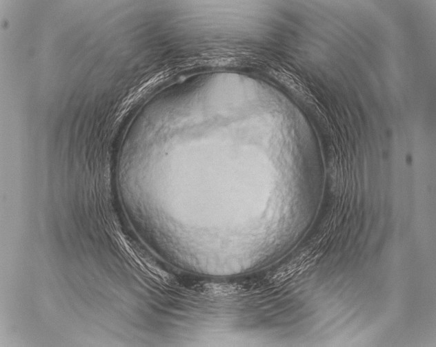 X0000057580442200510171712