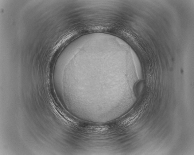 X0000057580443200510171712