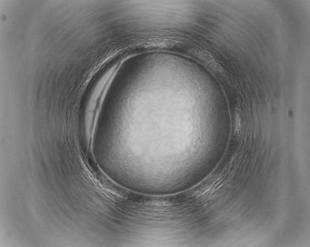 X0000057580444200510171712