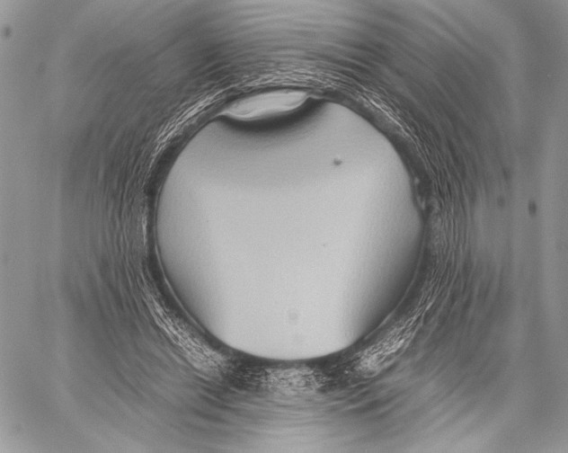 X0000057580446200510171712