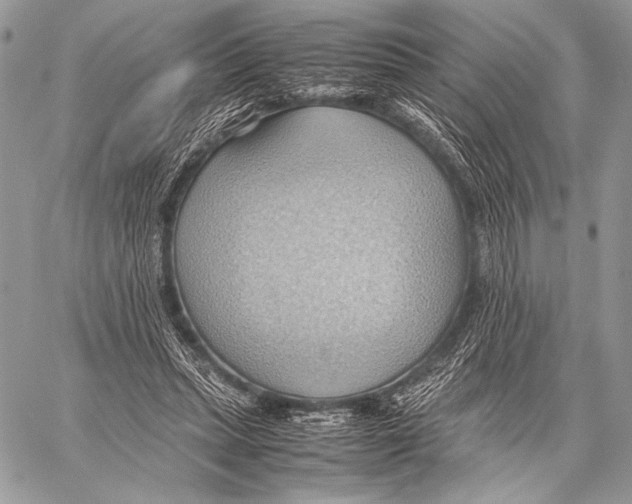 X0000057580447200510171712