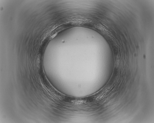 X0000057580448200510171712