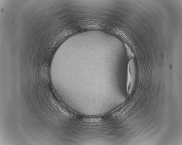 X0000057580449200510171712