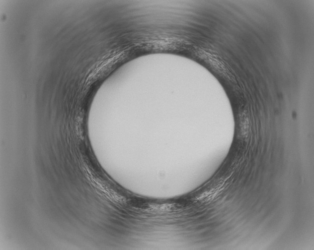 X0000057580450200510171712