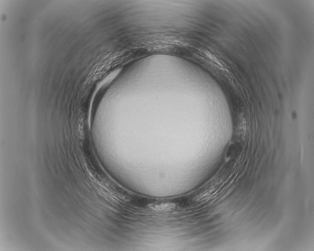 X0000057580452200510171712