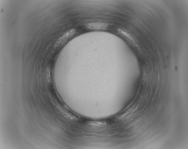 X0000057580453200510171712