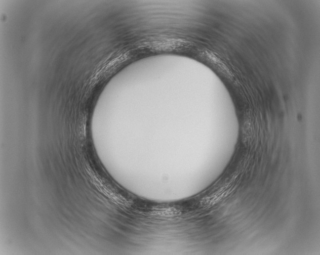 X0000057580454200510171712