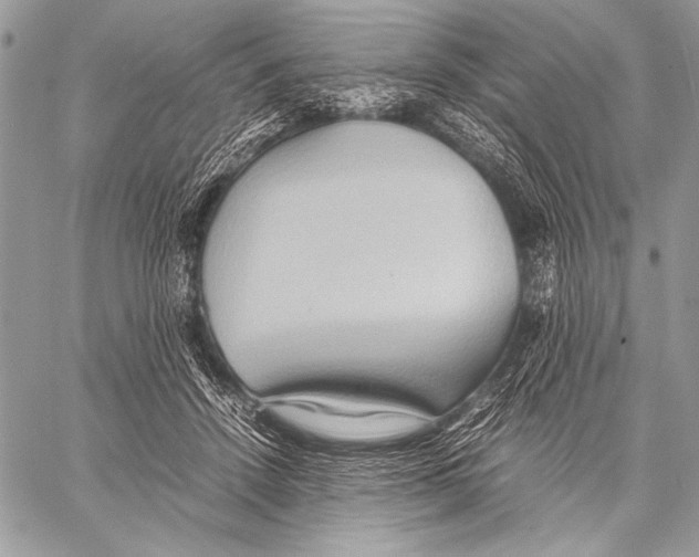 X0000057580456200510171712