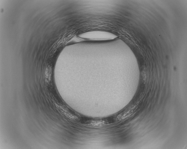 X0000057580458200510171712