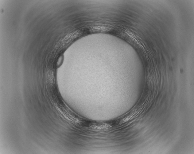 X0000057580459200510171712