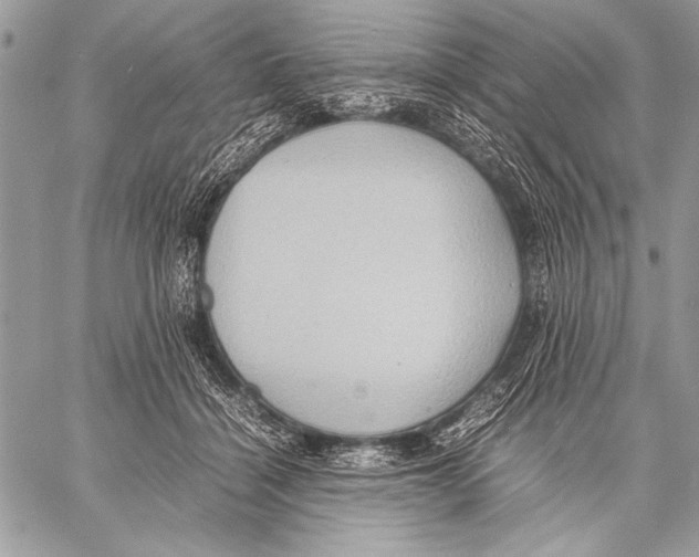 X0000057580460200510171712