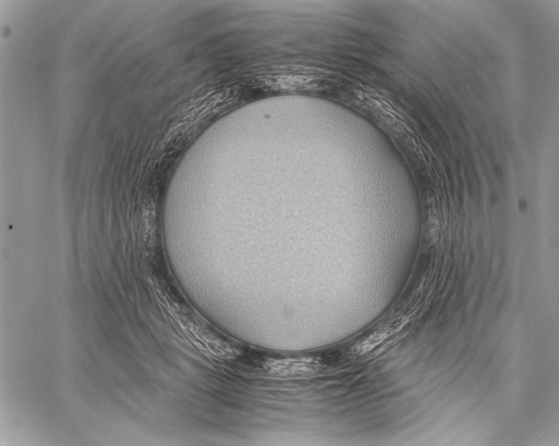 X0000057580461200510171712