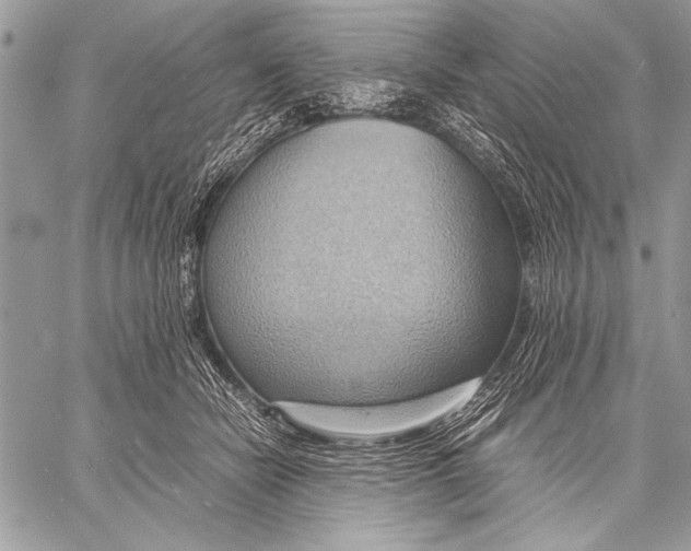 X0000057580462200510171712