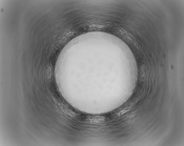 X0000057580463200510171712