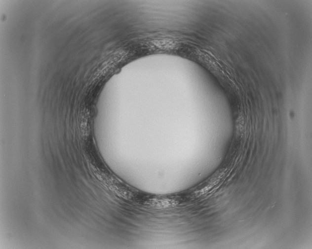 X0000057580464200510171712