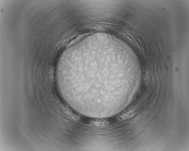 X0000057580466200510171712