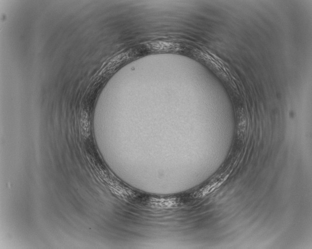 X0000057580469200510171712