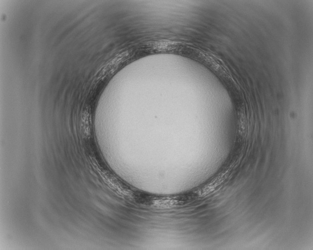 X0000057580470200510171712