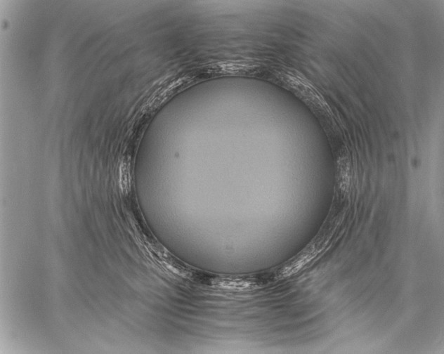 X0000057580471200510171712