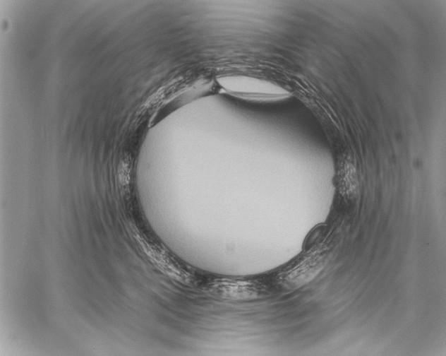 X0000057580472200510171712