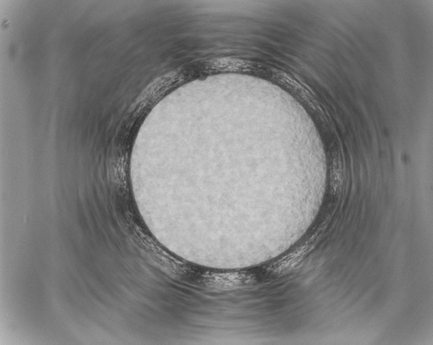 X0000057580473200510171712