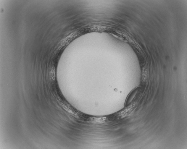 X0000057580474200510171712