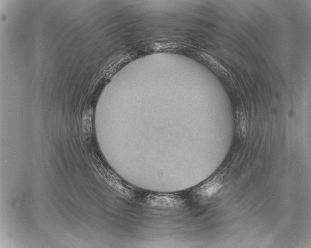 X0000057580475200510171712