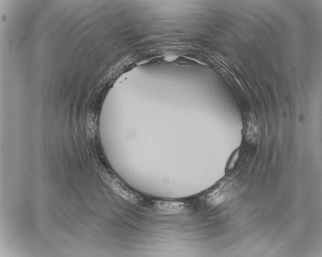 X0000057580476200510171712