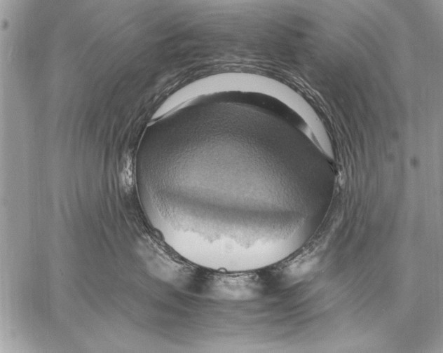 X0000057580479200510171712