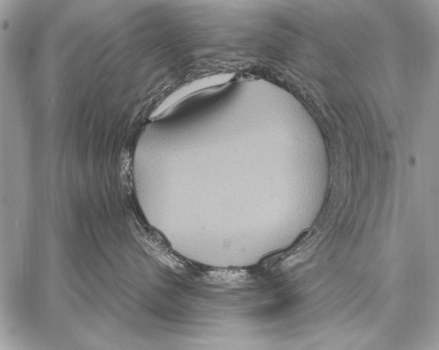 X0000057580480200510171712