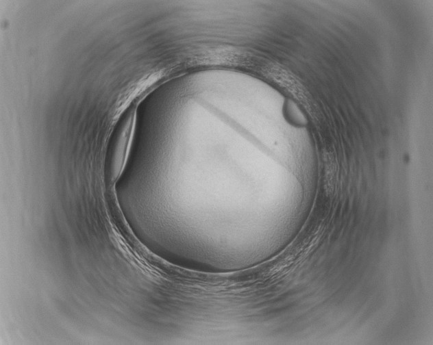 X0000057580482200510171711