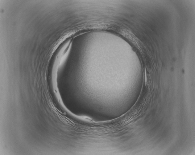 X0000057580483200510171711