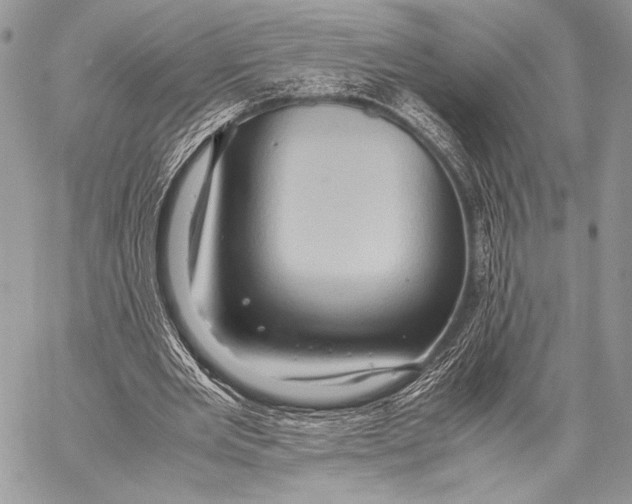 X0000057580485200510171711