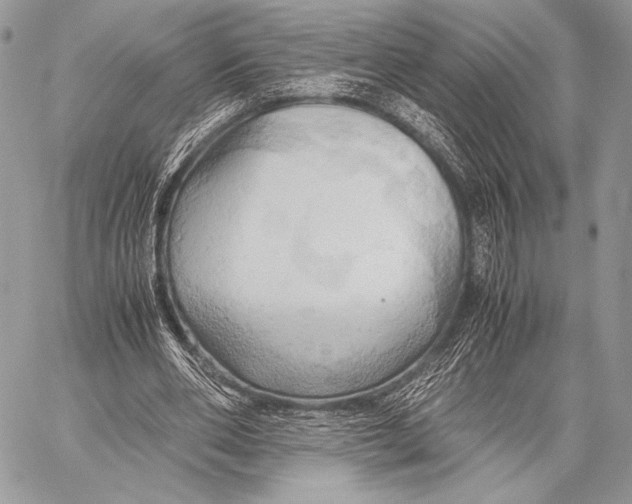 X0000057580486200510171711