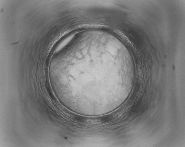 X0000057580487200510171711